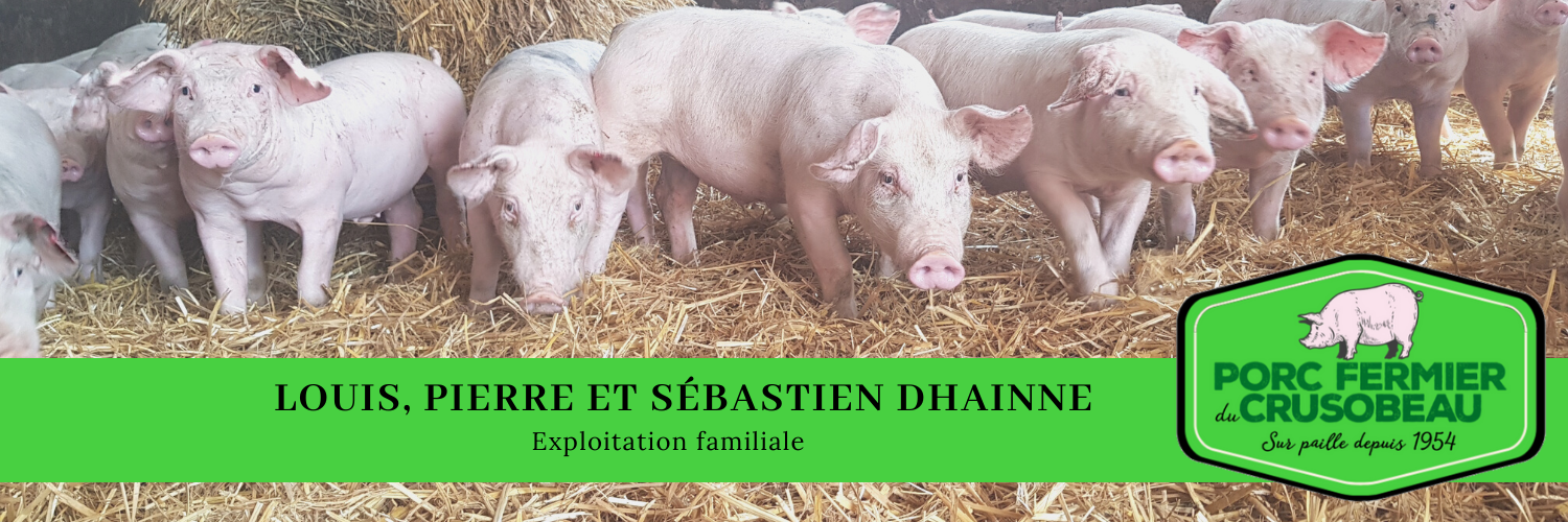 Sebastien dhainne porcs fermiers steenwerck producteur local